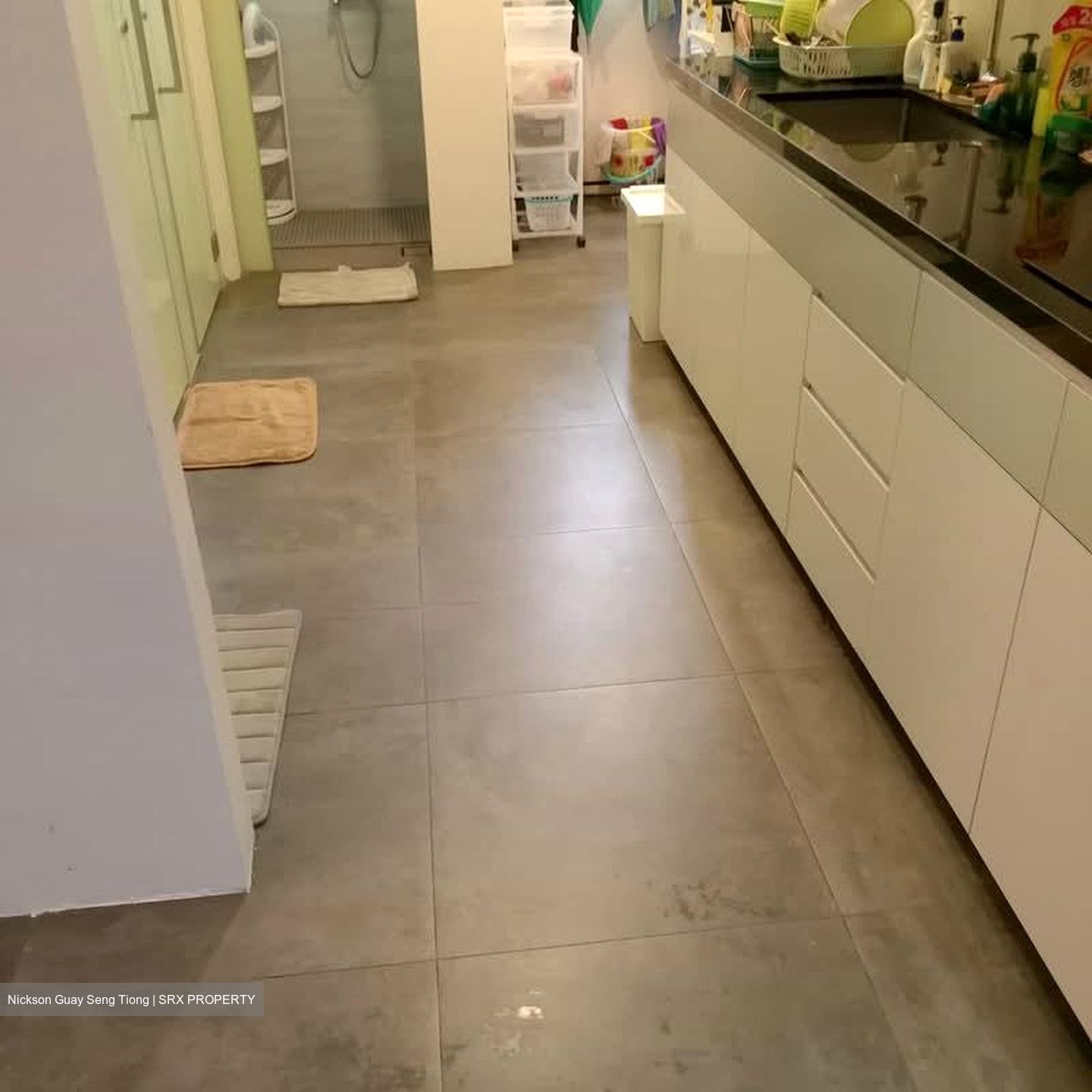 Hock Mansion (D9), Apartment #581297371